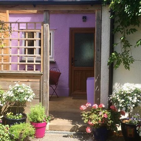 Cute Self-Contained Guest Room With Ensuite And Private Decked Porch In Glastonbury Buitenkant foto