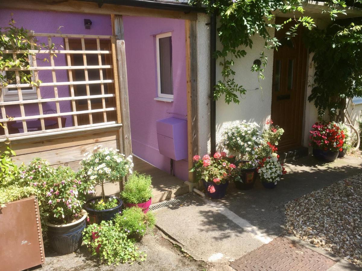 Cute Self-Contained Guest Room With Ensuite And Private Decked Porch In Glastonbury Buitenkant foto